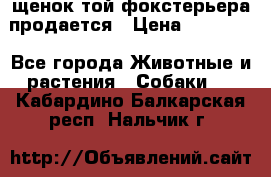 щенок той-фокстерьера продается › Цена ­ 25 000 - Все города Животные и растения » Собаки   . Кабардино-Балкарская респ.,Нальчик г.